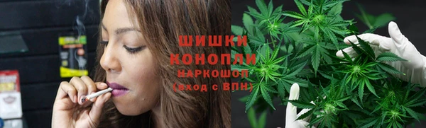 круглые Тайга