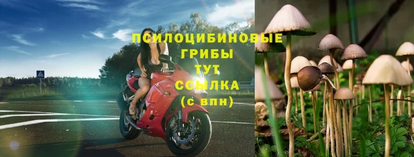 трава Бородино