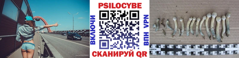 Псилоцибиновые грибы прущие грибы  где купить наркоту  Коркино 